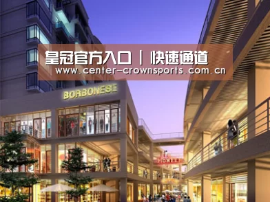 案例展示一(图1)