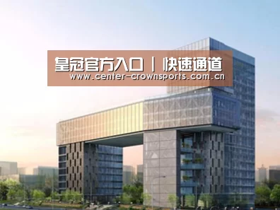 案例展示四