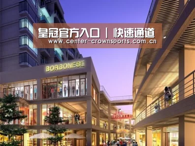 案例展示一