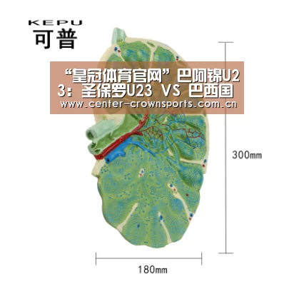 皇冠体育官网