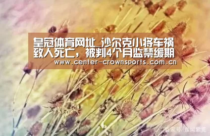 皇冠体育网址
