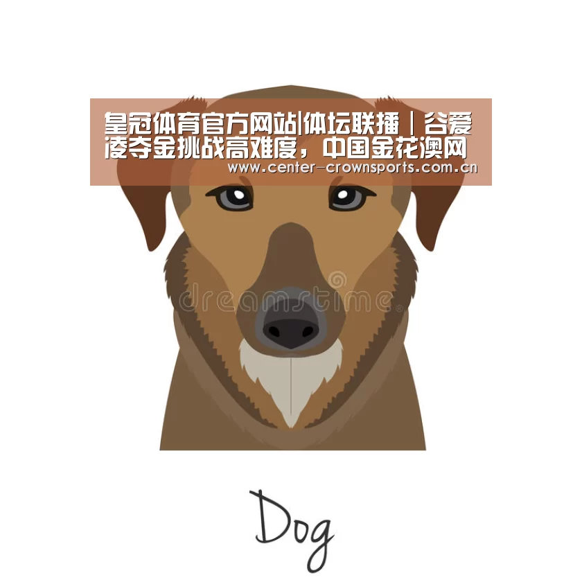 皇冠体育网址