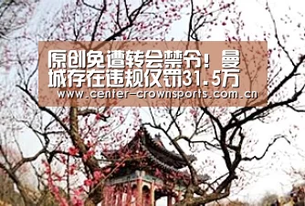 皇冠入口