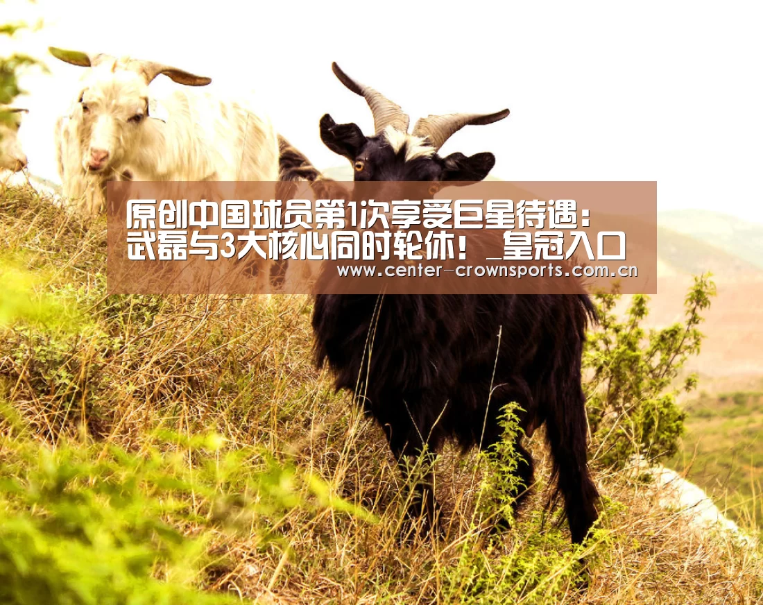 皇冠体育网址
